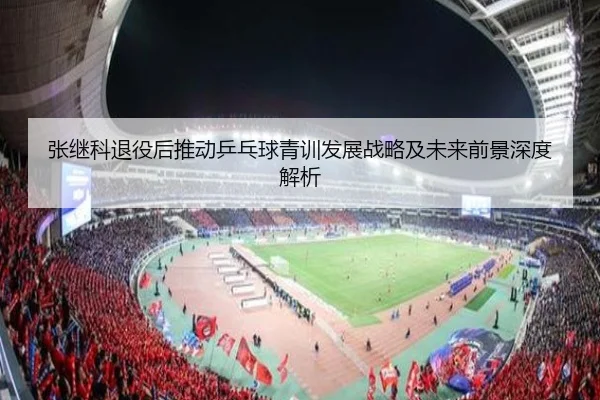 张继科退役后推动乒乓球青训发展战略及未来前景深度解析